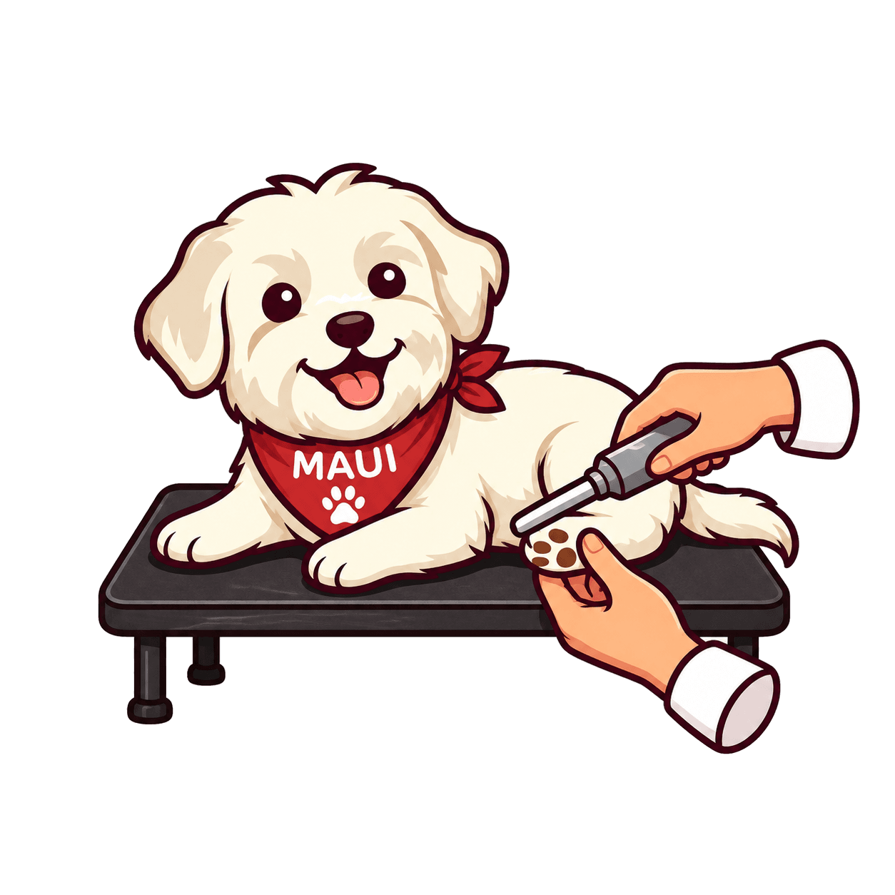 How Much Does Dog Nail Trimming Cost? 2026 Price Guide